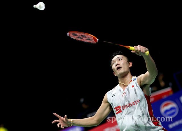 它代表的是 它代表的是