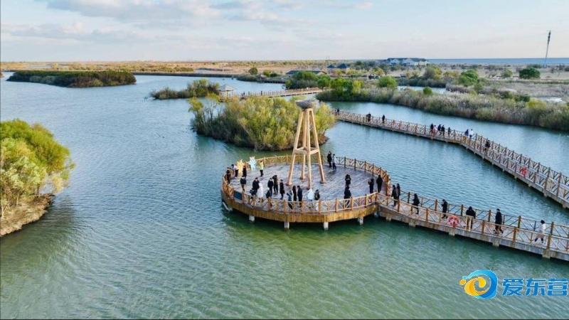 皇马对球员 皇马对球员